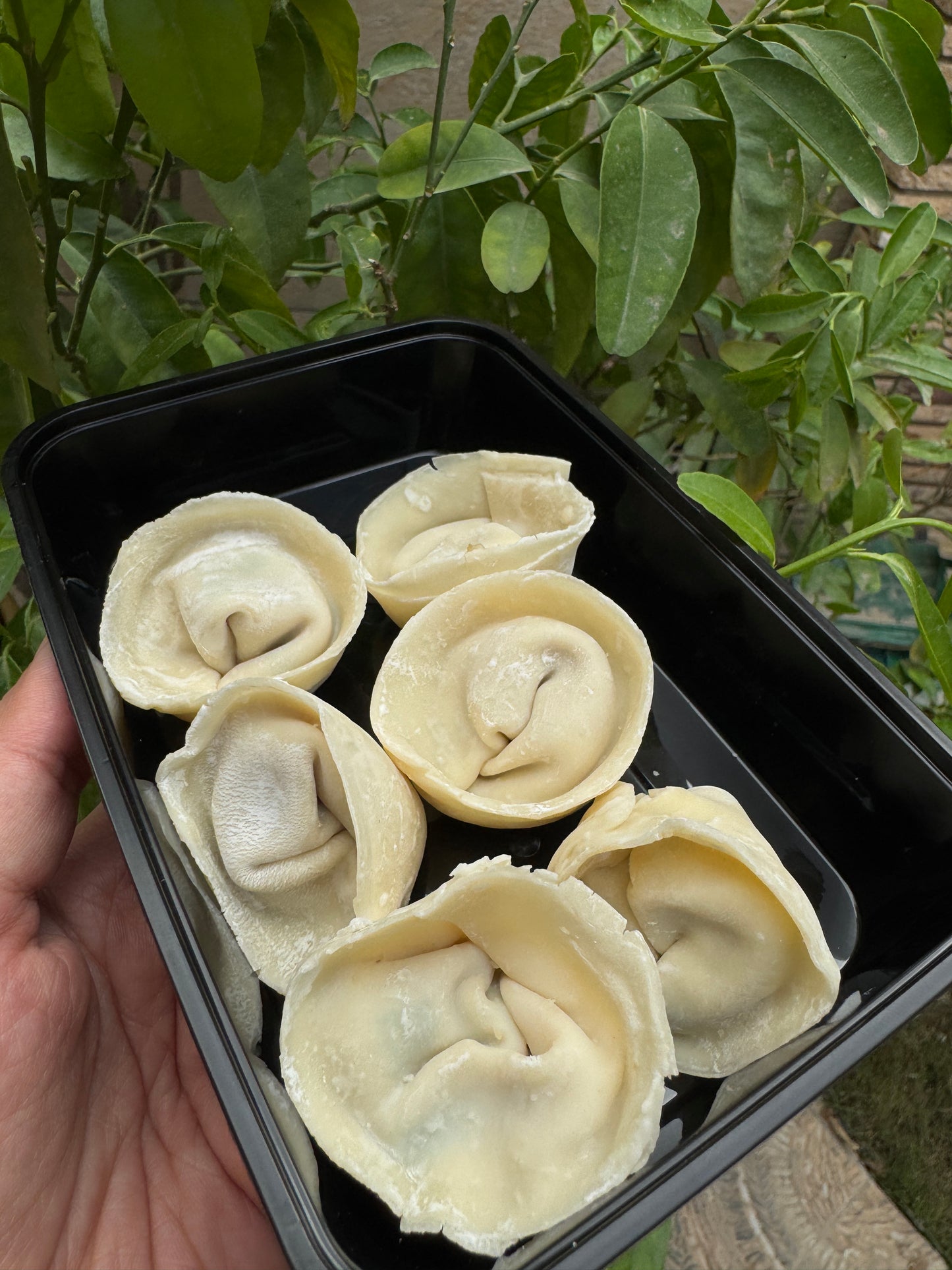 Frozen chicken cheese dumplings