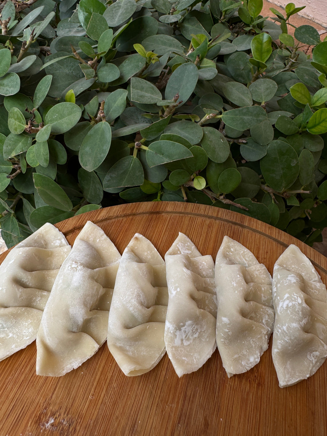 Why Dumplings Are the Ultimate Comfort Food (And How Dumplify Takes It to the Next Level
