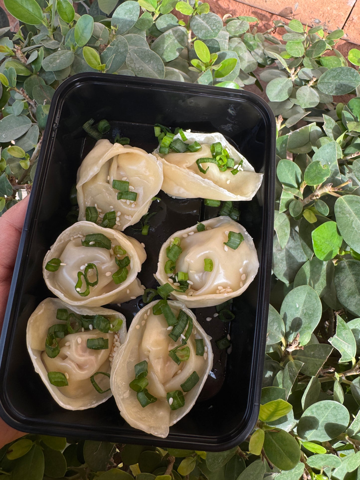 Chicken cheese dumplings