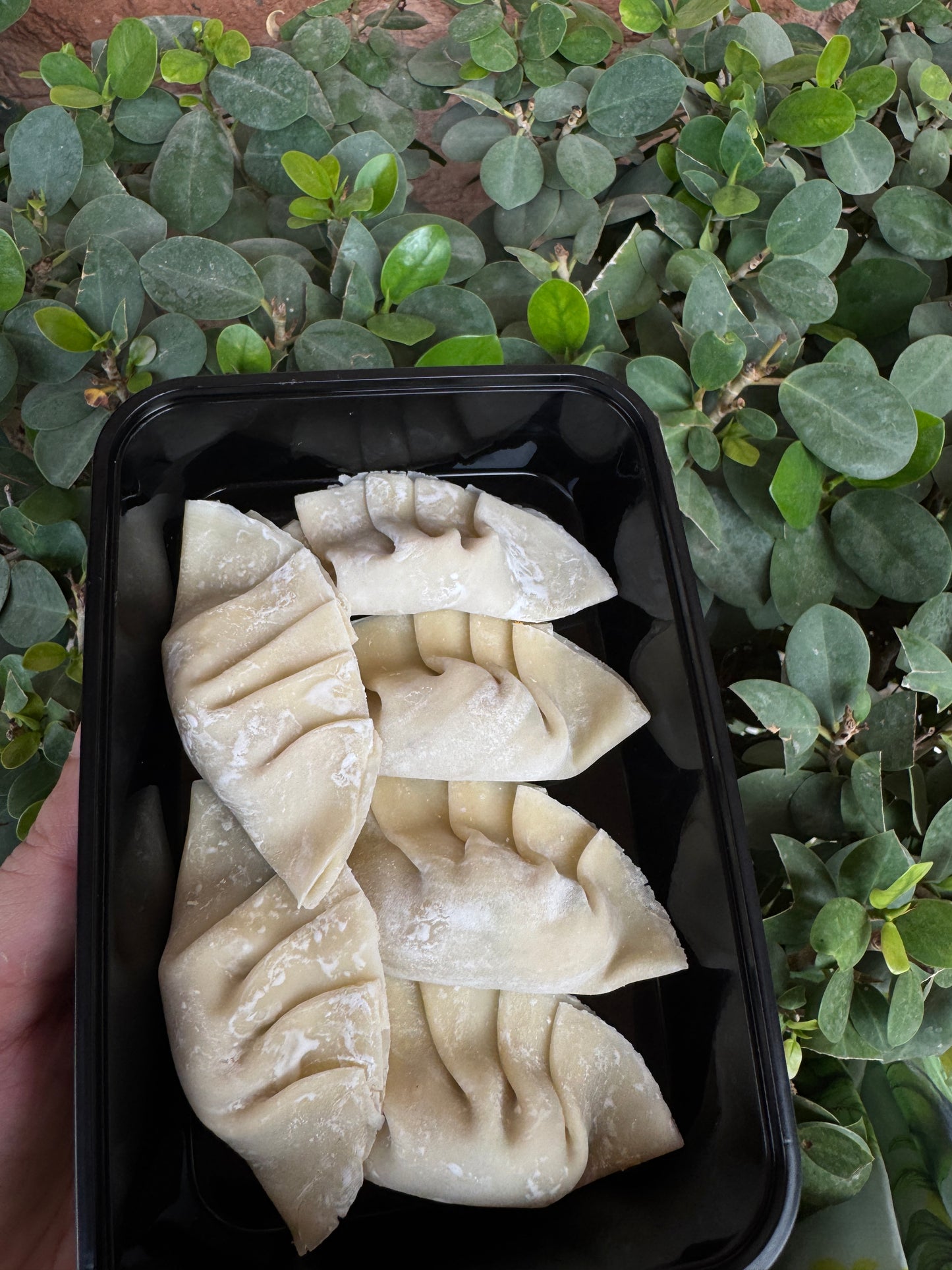 Frozen chicken dumplings