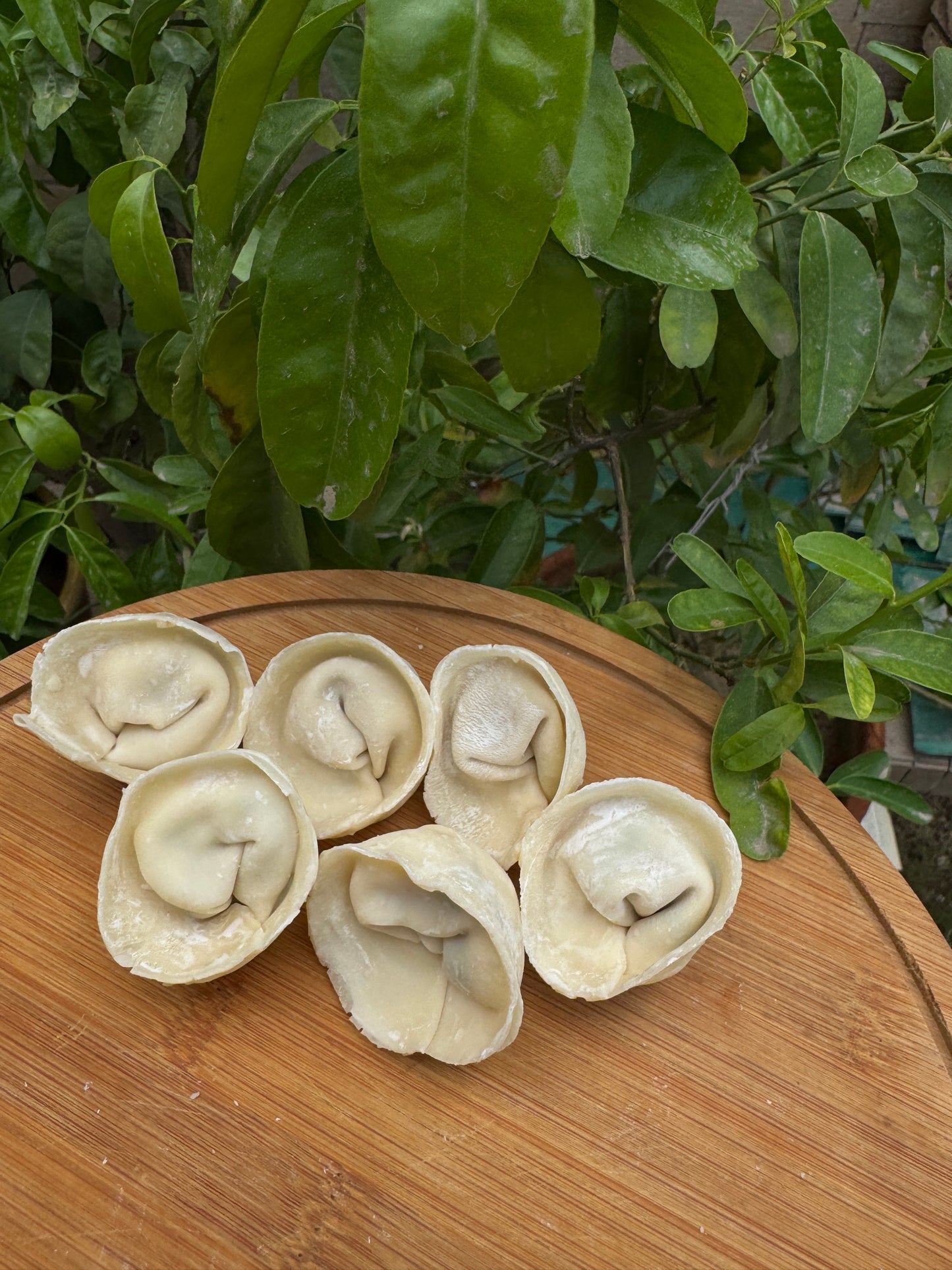 Frozen chicken cheese dumplings