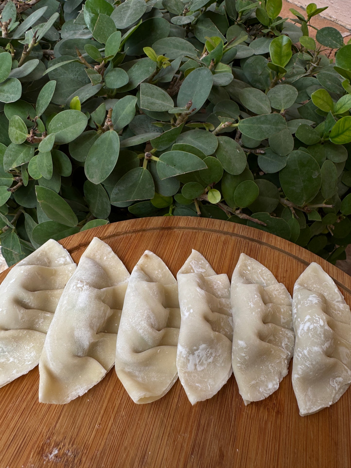 Frozen chicken dumplings