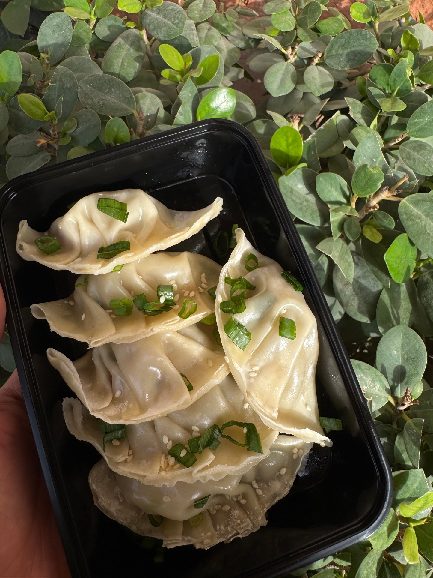 Chicken dumplings